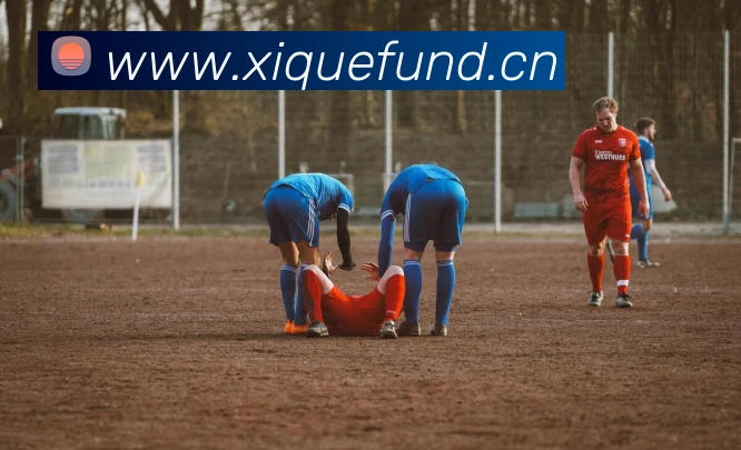 kaiyun登录入口网址服务体系